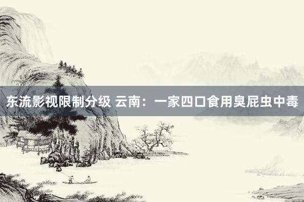 东流影视限制分级 云南：一家四口食用臭屁虫中毒