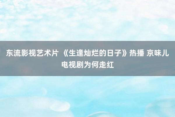 东流影视艺术片 《生逢灿烂的日子》热播 京味儿电视剧为何走红
