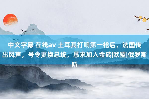 中文字幕 在线av 土耳其打响第一枪后，法国传出风声，号令更换总统，恳求加入金砖|欧盟|俄罗斯