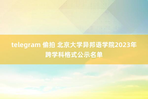 telegram 偷拍 北京大学异邦语学院2023年跨学科格式公示名单