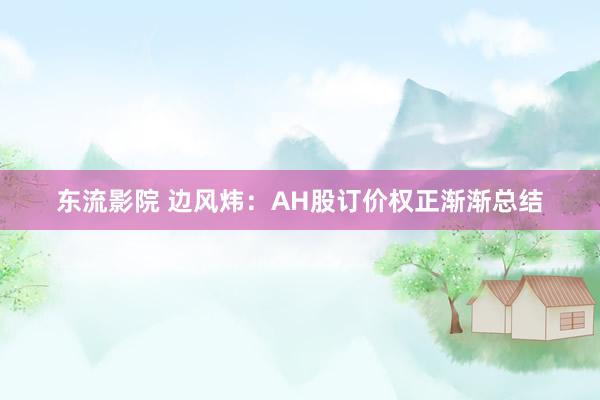 东流影院 边风炜：AH股订价权正渐渐总结
