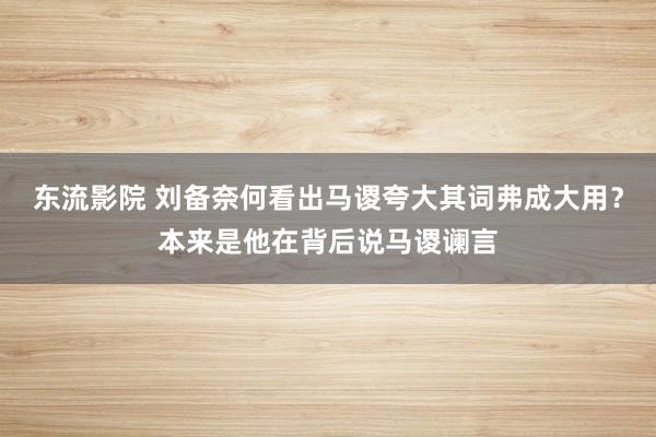 东流影院 刘备奈何看出马谡夸大其词弗成大用？本来是他在背后说马谡谰言