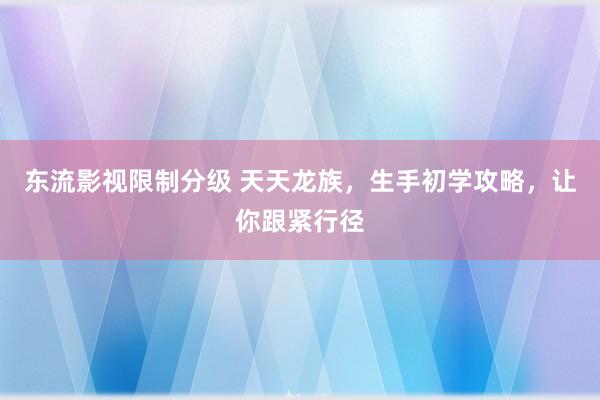 东流影视限制分级 天天龙族，生手初学攻略，让你跟紧行径