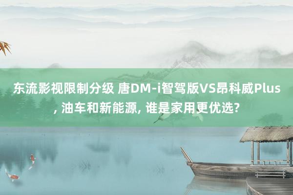 东流影视限制分级 唐DM-i智驾版VS昂科威Plus， 油车和新能源， 谁是家用更优选?
