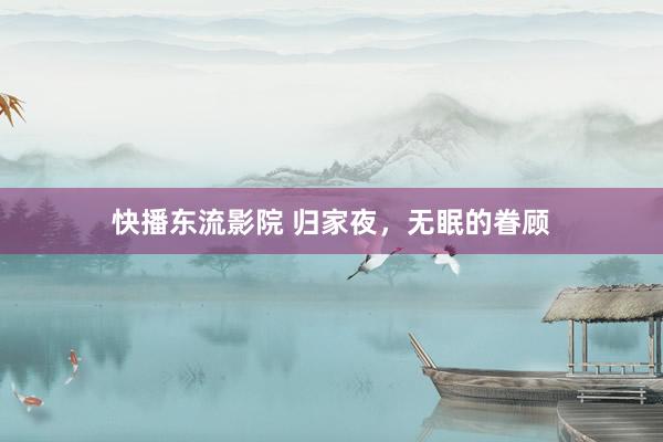 快播东流影院 归家夜，无眠的眷顾