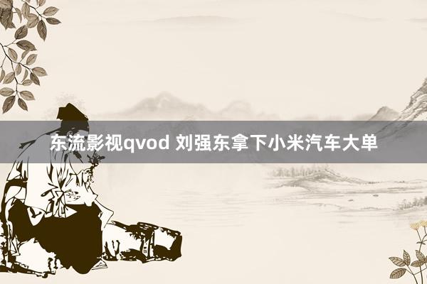 东流影视qvod 刘强东拿下小米汽车大单